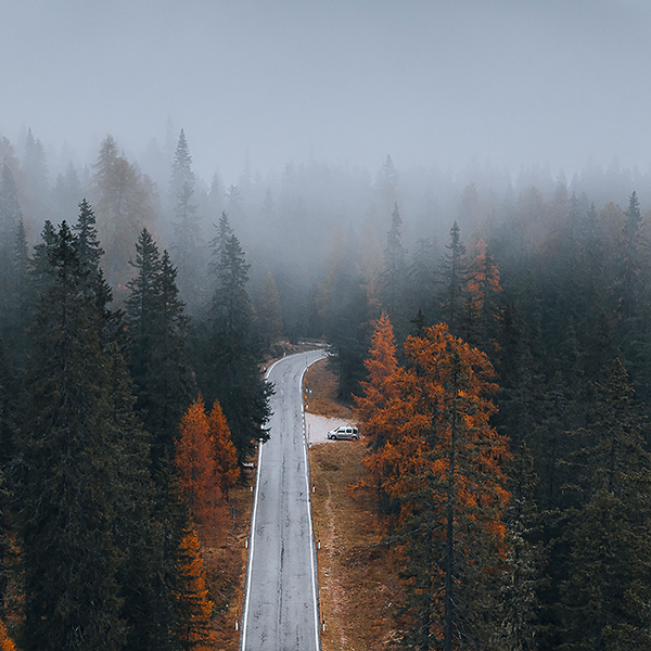 Snowy forest with a road. Aerial view.